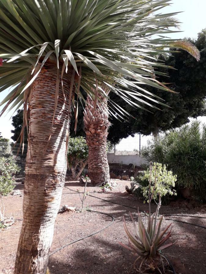 Elegant And Cozy Studio With Pool Chaparral 341 Costa Del Silencio Esterno foto